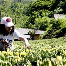 학사 2리 이미지