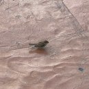 백제무도학원 | 🎧And July