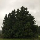 유민미술관 이미지