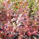 영풍농장 이미지