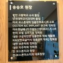 [치료후기] 천안 '청당N미소치과' 믿을 수 있을까?