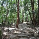 피아골단풍민박 이미지