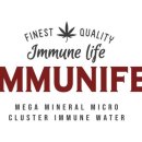 (구)백성초 리틀야구장 이미지