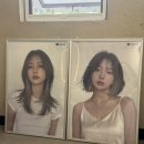 리안헤어 강남일원점
