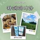 합덕오토바이 | [피어라 카페]당진 커플명소 8월 여름 방문 후기 주차,노키즈존,뷰맛집 리뷰