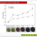 푸르매농장 이미지