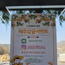 가평 글램핑 추천 그린벨트 캠핑장 카라반 가족여행 내돈내산 후기