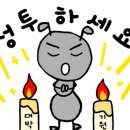 뉴키즈온 이미지