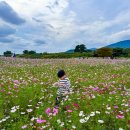 대동생태체육공원 화장실 1 | 경남꽃구경 부산근교 드라이브 김해갈만한곳 대동생태공원 코스모스 가을나들이