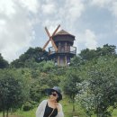 보타니카 170 이미지
