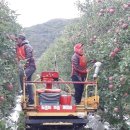 정선농장 이미지