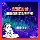 발산지하수개발 | 광명동굴 입장료 할인 주차장 유모차 애들데리고갈만한곳 팁