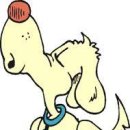 광양동물메디컬센터 이미지