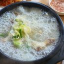 도지울순대국