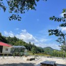 스테이 풍 이미지