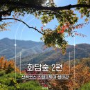 숲의 이야기를 들어볼래? | 곤지암 화담숲 2편 | 화담숲 산책코스·스탬프투어·생태관 후기