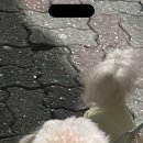 바비미용실 이미지