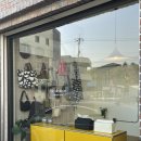팔로디리몬