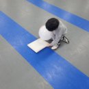 태무강울태권도장 이미지