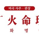 신기사주