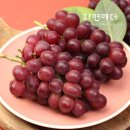 서상주농업협동조합 이미지