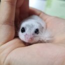 제26기 박물관대학 | 부경대 박물관 후기