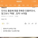 인스타 인플루언서 30대..짝퉁 팔아 징역14개월, 범죄수익 24억 추징 이미지