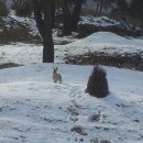 마실농장 이미지