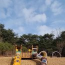 한방생태숲 이미지