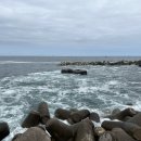 평화민박 이미지