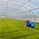 성은비료 이미지