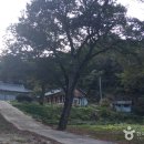노송지구대 | [전라북도 임실군] 임실 오수망루
