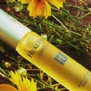 프레쉬 힐 이미지