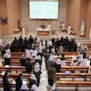 배성종 카카오 검색결과