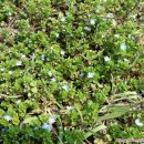 부곡한옥펜션 이미지