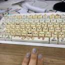 6월 첫째주 / 바보가 되지 않으려면 어떻게 해야할까