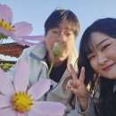 예쁜댕 이미지