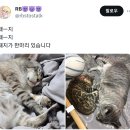 돼지야 - 마포구 월드컵로 143 | 돼지야