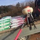 춘이농장 이미지