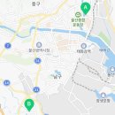 경희대 청량태권도 이미지