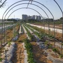 경기종묘농자재 이미지