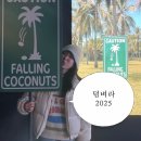 그랜드센트럴북카페 | 2025 : 브랜디멜빌 쇼핑, 그라운드시소 웨스앤더슨2, 오트성수, 성수 북카페 센버스, 더트러플베이커리