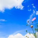 이솝한의원 이미지