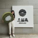 왕산바람부리영농조합법인 | 제주살이 2주차