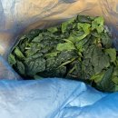 산촌농장(2) 네이버블로그