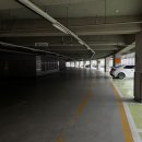 도원체육관 1층 이미지