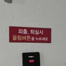 스테이인 1025 이미지