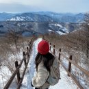 겨울 여행지 추천, 눈 쌓인 함백산 등산코스, 주차, 산행시간 후기