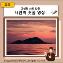 유원크리에이티브 | 생성형 AI로 만든 나만의 숏폼 영상, 직접 제작해 봤어요
