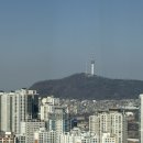 씨티타워 앞 | 용산 노보텔 주니어 스위트 더블 남산타워가 보이는 룸 숙박 후기